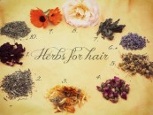 Love Your Natural Hair??? Then Try These 7 Herbal Rinses For Healthy Hair and Scalp!