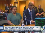 Mom Who Murders Kids & Puts Bodies In The Freezer To Keep Getting Child Support Goes Nuts In Court!  (Video)