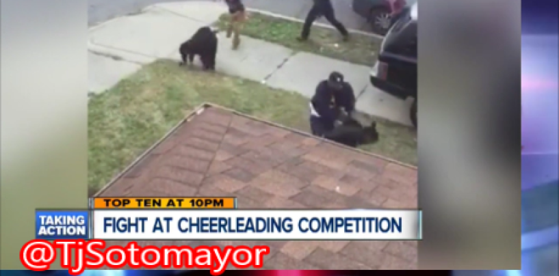 BT-1000 Mothers Of Detroit Black Beastie Cheer I Mean MiseryLeading Squad Brawl After School Event! (Video)