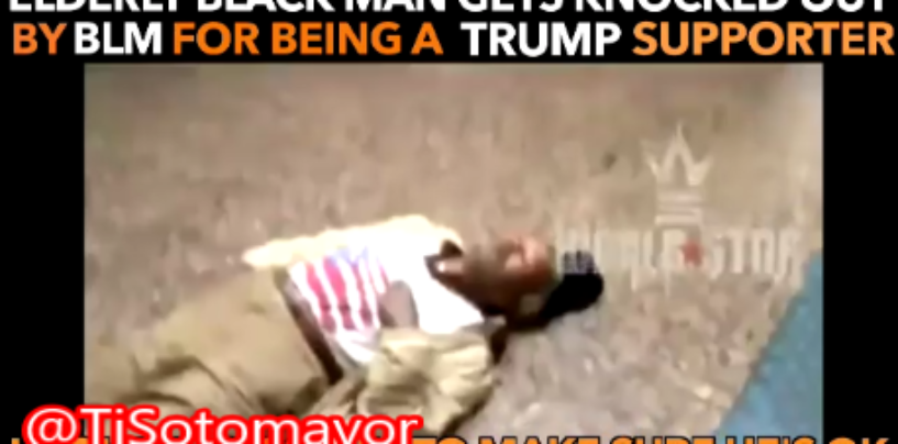 Niggly Hillary Clinton Supports KnockOut Old Man Because He Was A Trump Supporter! (Videos)