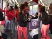 UgMo Jealous BT-1100 Dark-Skin Chicks Assault Beautiful Half-Breed On Bus & No One Helped! (Video)