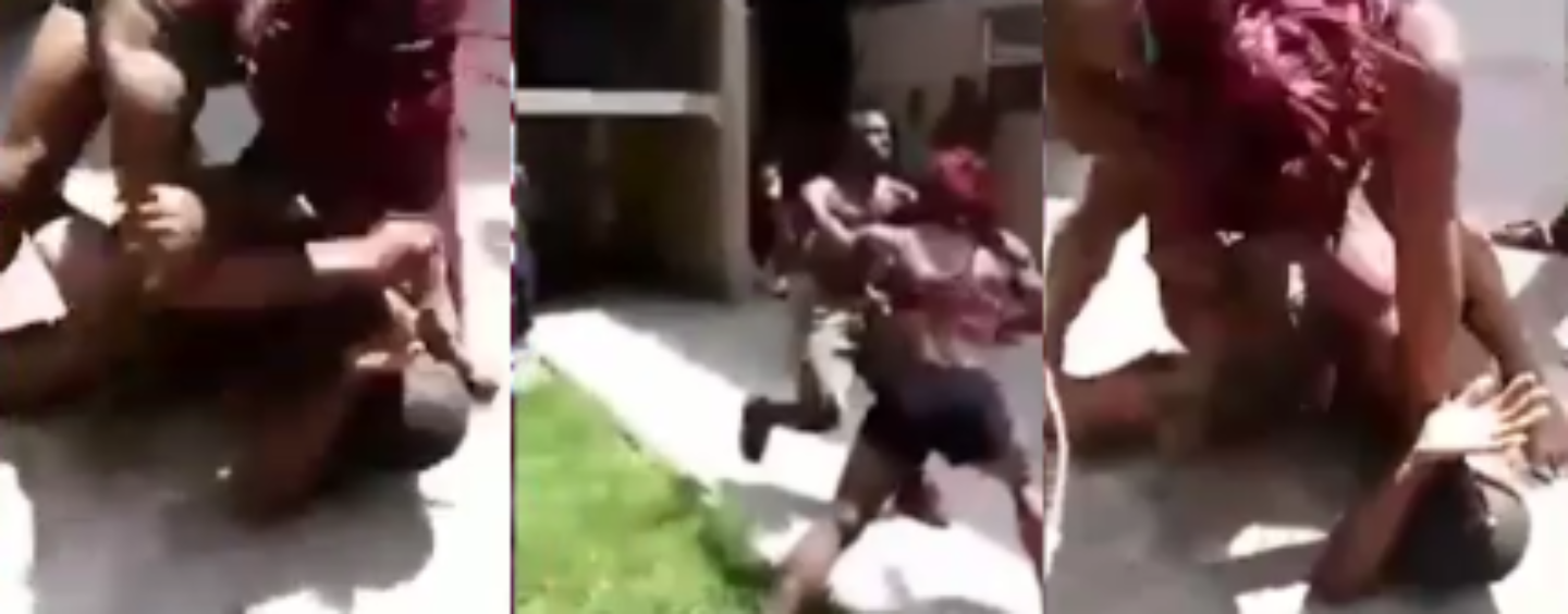 Muscle Bound Black Chick Manhandles Her Boyfriend In Hand To Hand PoundCake Duel! (Video)