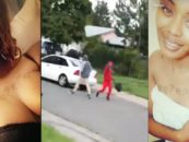 DBBP #8 Hood-Mom Of 2 & 1 On The Way, Shot at By Neighborhood Thugs While She Records It For Facebook! (Video)