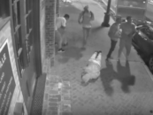 4 New Orleans Nigglybears Maul & Rob 2 Unsuspecting White Men! #WheresTheOutrage (Video)
