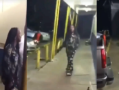 Black Woman Argues With Her Girlfriend, Gets Jumped By Another Black Chick Then Shoots Randomly While Kids Are Around! (Video)