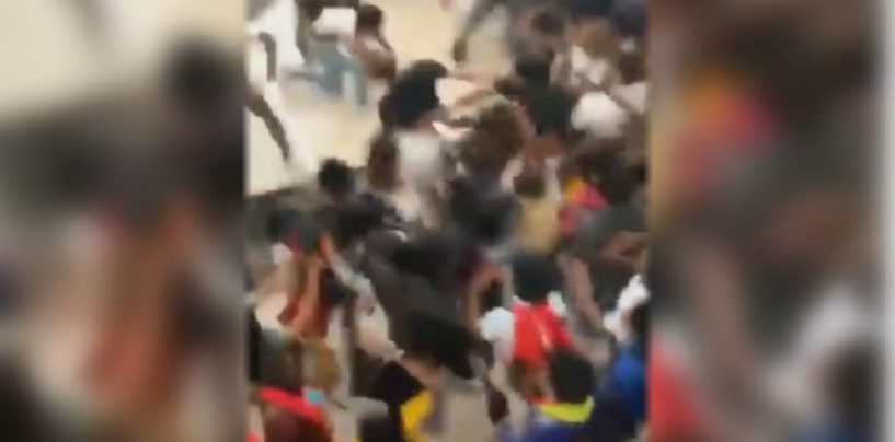 Niggly Bears Fight In Desoto Texas School Over Some Stank Ratchet! Same As It Ever Was! (Video)
