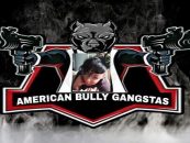 Part 2 How Do You Bully & Gangsta? Well Lets Find Out LIVE As The RoachQueen Explains! (Video)