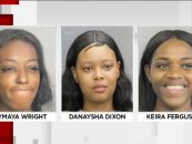 3 Black Philly Hair Hatted Hoodrats Attack Ft Lauderdale Spirit Worker Because Their Flight Was Delayed! (Video Short)