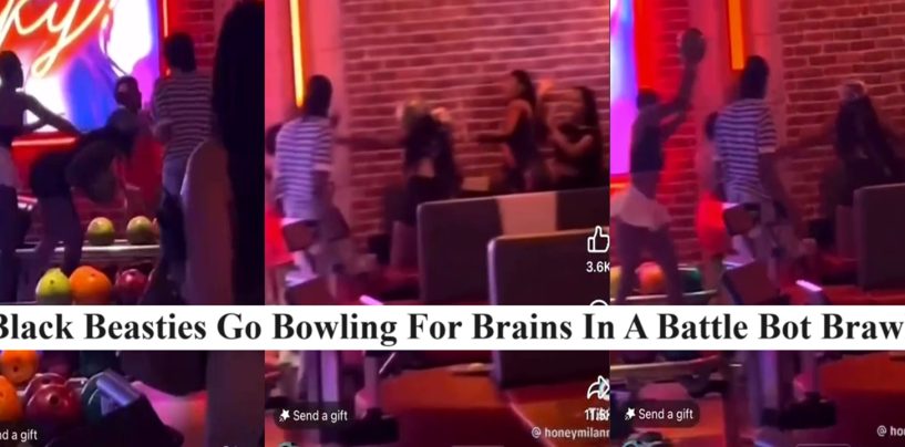 Black Beasties Go Bowling For Brains In A Black Battle Bot Brawl! #UnbeWeaveable (Video)