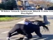 Family Of Wild Irish Racist Beat Young Black Girl Gang Style! What Lead To This? (Video)