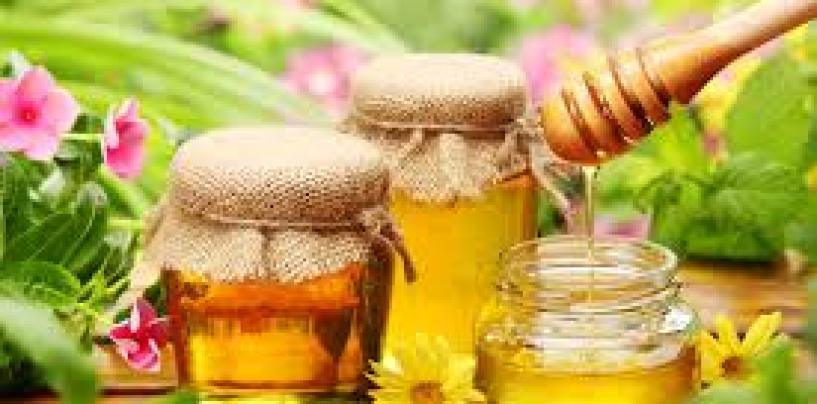 Amazing Healing Power Of Honey… From Burns To Weak Bones And Much More!!!