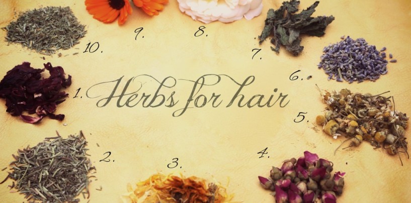 Love Your Natural Hair??? Then Try These 7 Herbal Rinses For Healthy Hair and Scalp!