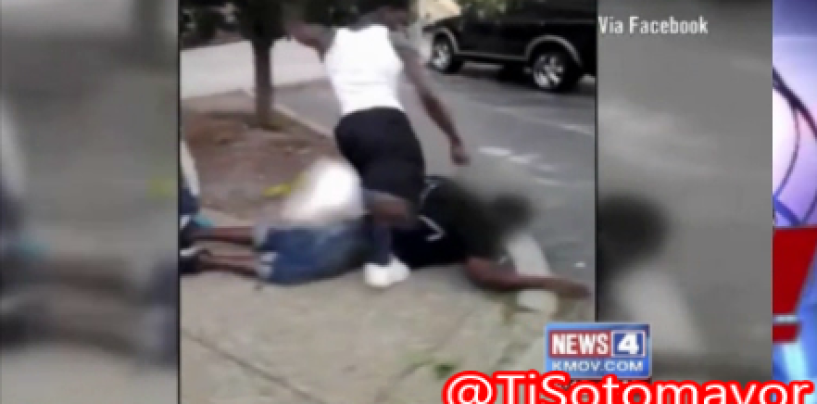 St. Louis Niggletts Play The Knock Out Game Punching & Kicking An Innocent By-Stander! (Video)