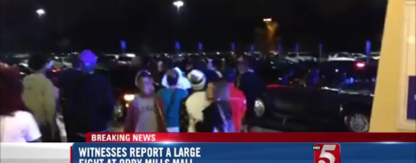 TeenAged Niggaz Fight By The Dozens In Nashville Shutting Down Opry Mills Mall! (Video)