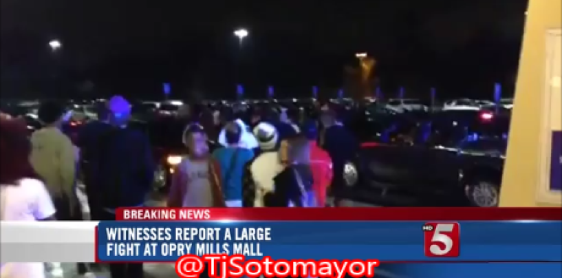 TeenAged Niggaz Fight By The Dozens In Nashville Shutting Down Opry Mills Mall! (Video)