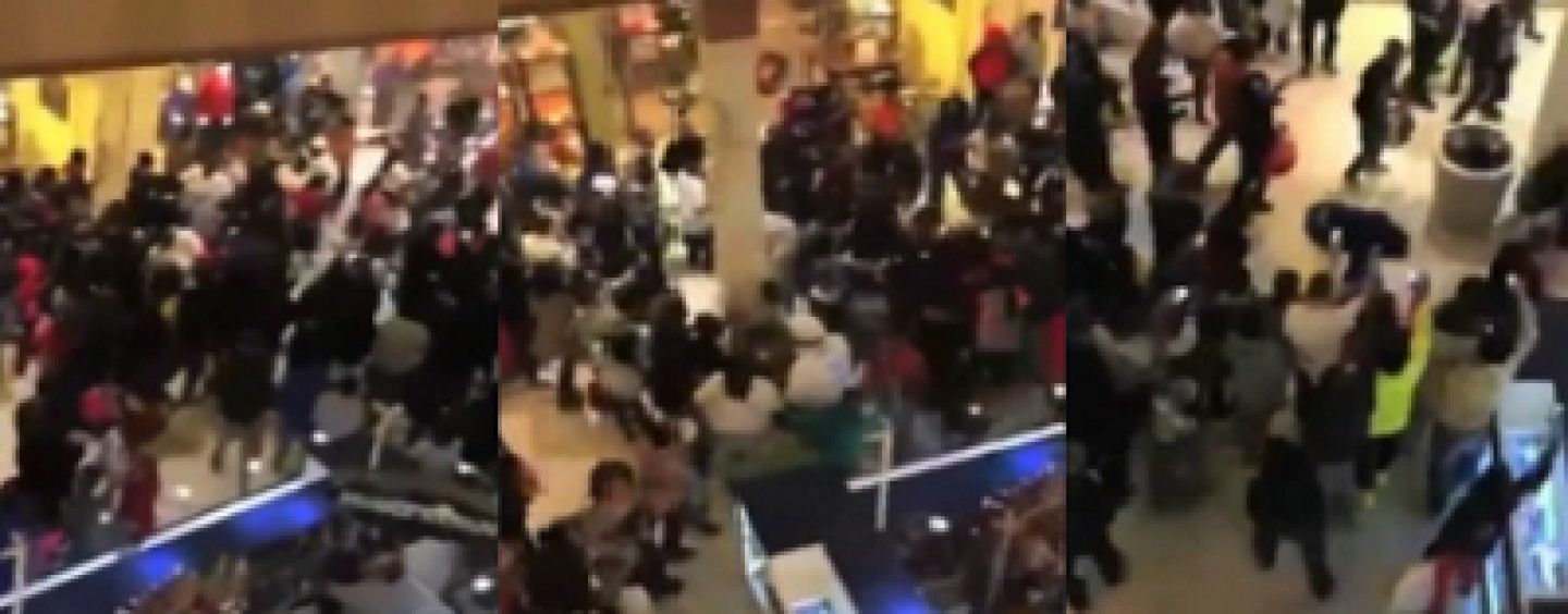 Hundreds Of Wild Niggaz Fight Each Other Causing Entire Pittsburg Mall To Close Down! (Exclusive Video)