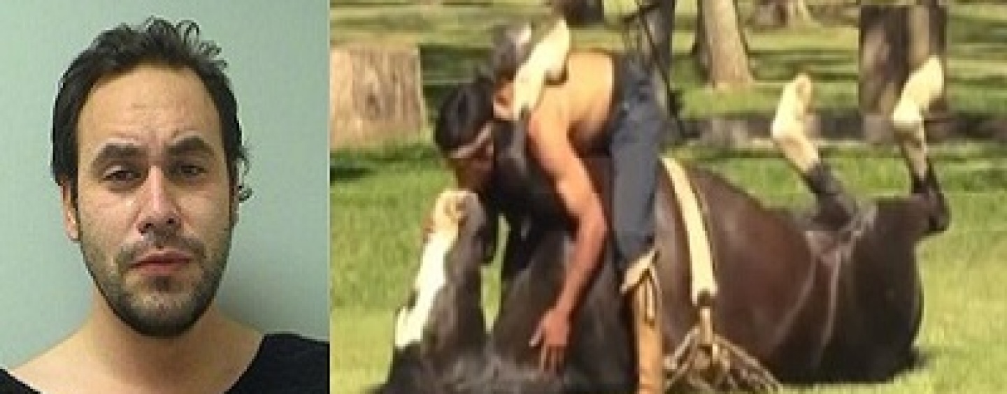 Snow Man Arrested For Giving A Horse The Popeye Treatment… He Blow Him Down! LOL! #WeirdWhiteNews (Video)