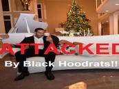 Rapper Ludacris & His New Wife Attacked By Black Hoodrats Over Child Custody Decision! (Video)
