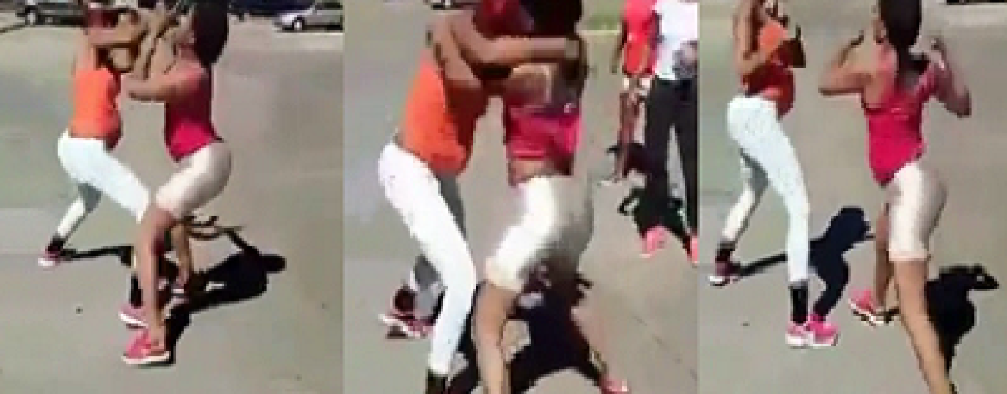 2 Pregnant Beasties Poundcake & Fight Each Other In The Middle Of The Street! (Video)