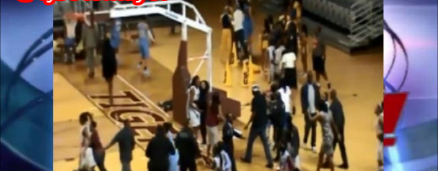 Texas Southern & Southern BT-1000s Brawl It Out At A Beastie Ball Game! Game Canceled! (Video)