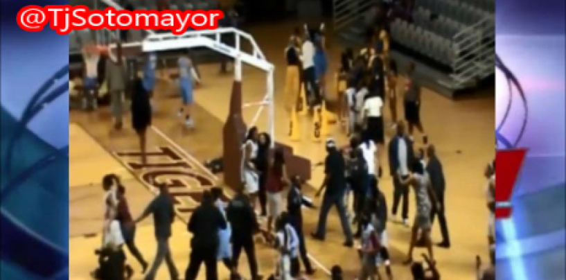 Texas Southern & Southern BT-1000s Brawl It Out At A Beastie Ball Game! Game Canceled! (Video)