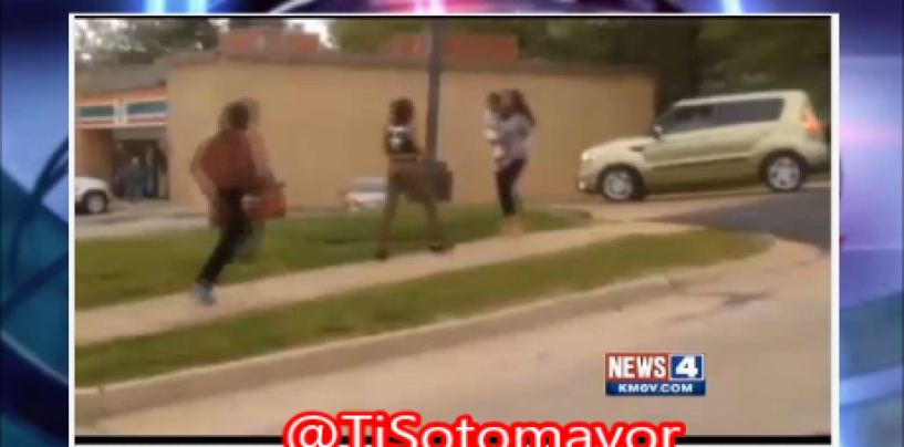 3 BT-1000 DSE’s Stomp, Kick & Poundcake A Teen Carrying A Baby Caught On Tape! (Video)