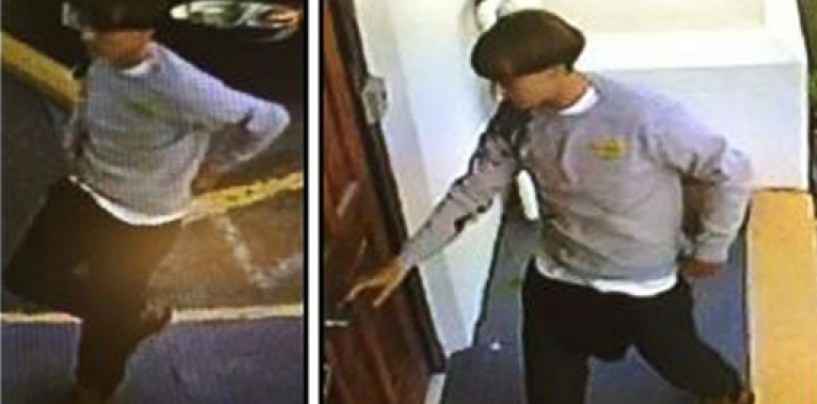 9 Murdered By White Man At A Black Church In SC So Why Ask A Coon To Discuss It? (Video)