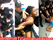 More Videos Show That Black Women Were Cause Of The Police To Rough Up The Niggresses & Nigglets! (Video)