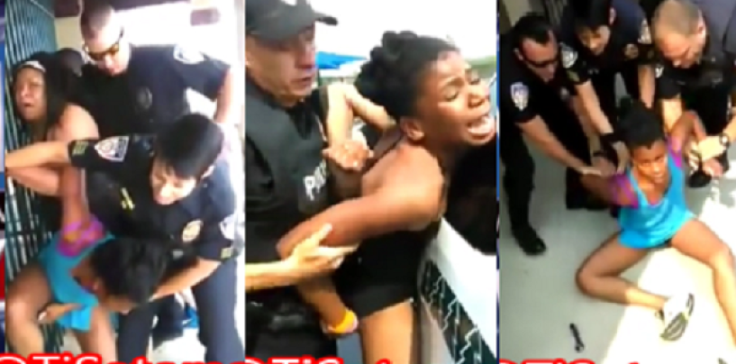 More Videos Show That Black Women Were Cause Of The Police To Rough Up The Niggresses & Nigglets! (Video)