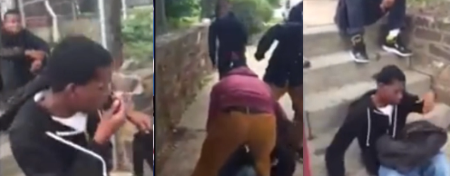 Savage Niggaz Beatdown A Black Kid Because He Made The Honor Roll! (Video) #IShitUNot
