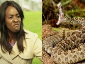 Approaching A Rattlesnake Is A More Pleasant Experience Than Approaching The Average Black Woman!