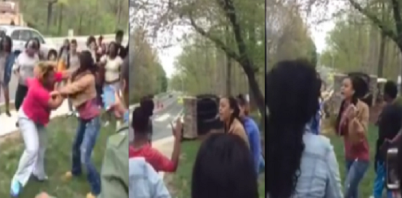 Mom Tries To Stop Brawl With Her Daughter Mob Of Darkbutts Ends Up Getting PoundCaked Herself! (Video)