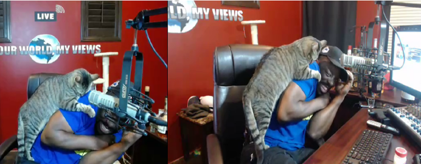 Black Radio Show Host Viciously Attacked By Cat After Making Joke About White Women!