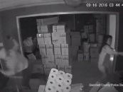 Female Asian Assassin Terminates 1 ED-209 & Sends 2 Others Scurrying During Home Invasion! (Video)