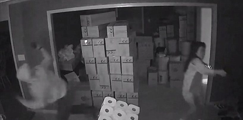 Female Asian Assassin Terminates 1 ED-209 & Sends 2 Others Scurrying During Home Invasion! (Video)