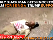 Niggly Hillary Clinton Supports KnockOut Old Man Because He Was A Trump Supporter! (Videos)