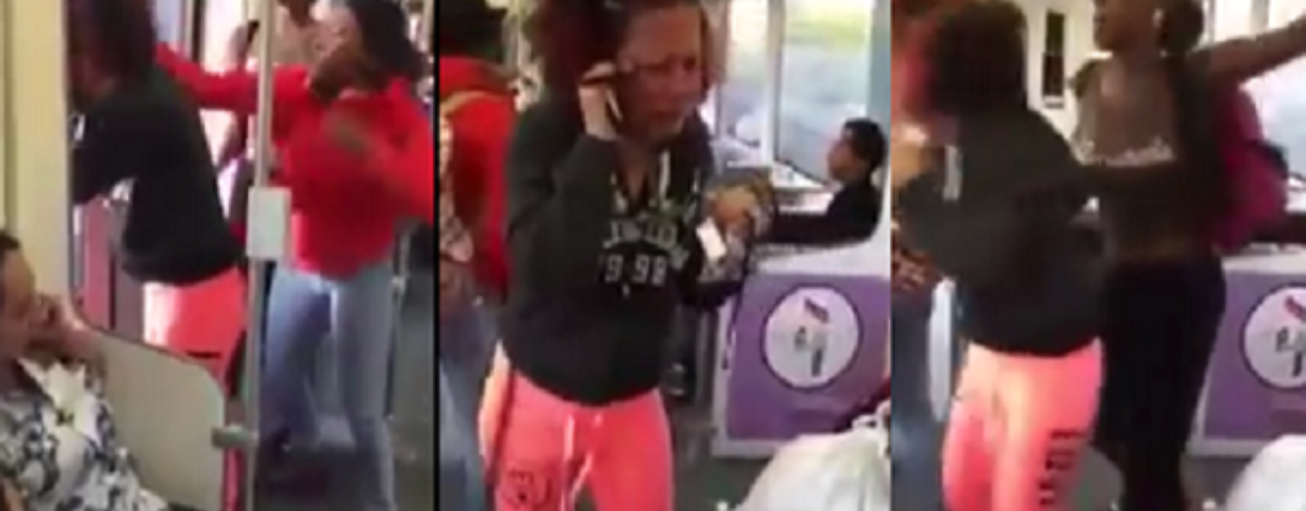 UgMo Jealous BT-1100 Dark-Skin Chicks Assault Beautiful Half-Breed On Bus & No One Helped! (Video)