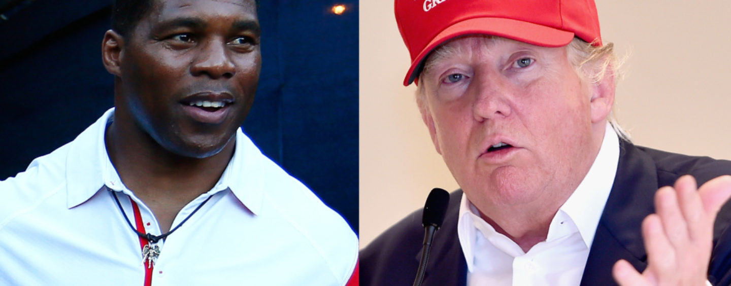 College Hall Of Famer Herschel Walker Harassed By Blacks For Supporting Donald Trump!