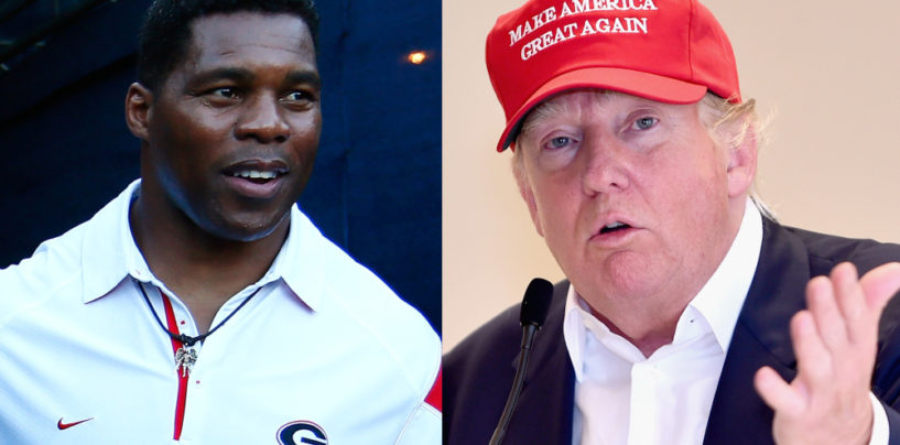College Hall Of Famer Herschel Walker Harassed By Blacks For Supporting Donald Trump!