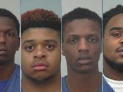 4 Niggly Bears Charged In The GangRape Of A 16 Year Old Girl Then Posting It On Facebook! (Video)