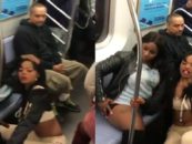 Hair Hatted Hood Black Whores Twerk On A Crowded Bus As Passengers Are Forced To Endure The Madness! (Video)