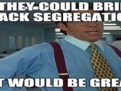 I’m Sorry But In Order To Fix America Its Time To Bring Segregation Back! (Video)