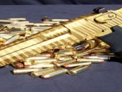 My First Time Firing BattleCat… My Gold Plated Tiger Striped Desert Eagle 50AE! (Video)
