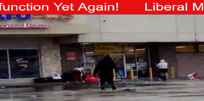 Why Does The Media Refuse To Cover The Looting Blacks Are Doing In Houston? 213-943-3362 (Video)
