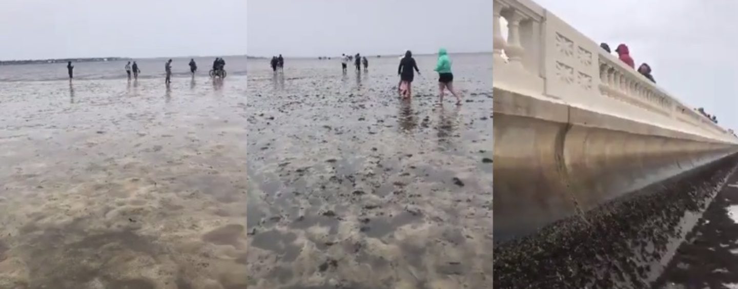 Tampa Residence’s Awaken From Hurricane Irma To See That The Ocean Is Gone! #iShitUNot (Video)