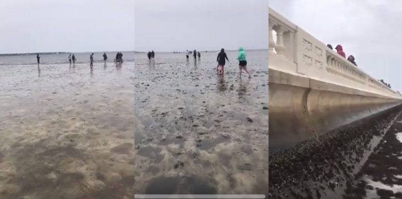 Tampa Residence’s Awaken From Hurricane Irma To See That The Ocean Is Gone! #iShitUNot (Video)