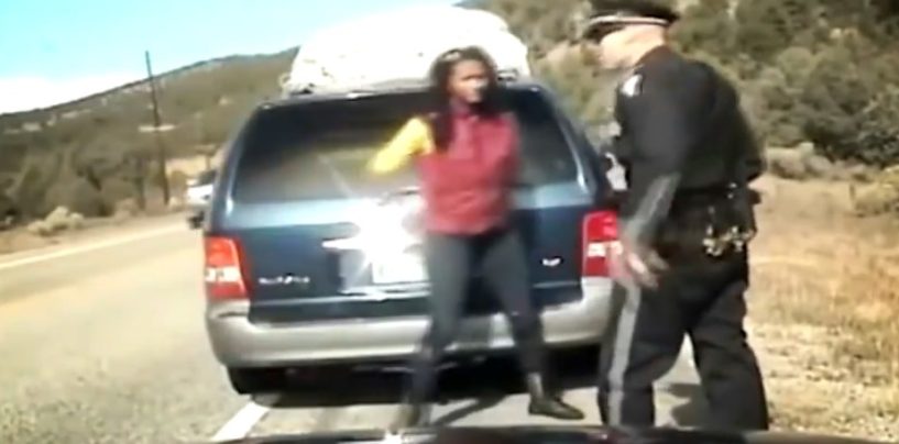 Black Mom of 5 Tries To Outrun Police With All Of Her Kids In A Mini Van! (Video)