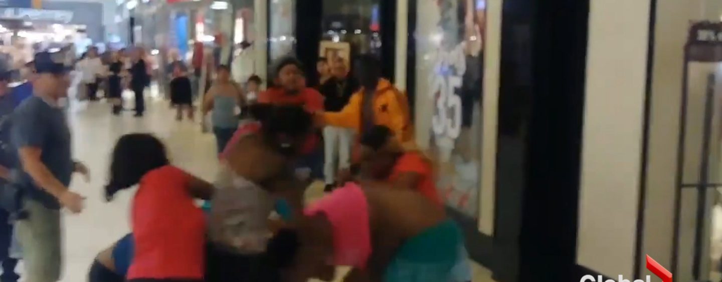 Pack Of BT-1100 Hairhats Brawl Each Other At A Florida Mall With Jiffy Pop Bag & Toddler In Tow! (Video)