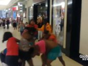 Pack Of BT-1100 Hairhats Brawl Each Other At A Florida Mall With Jiffy Pop Bag & Toddler In Tow! (Video)