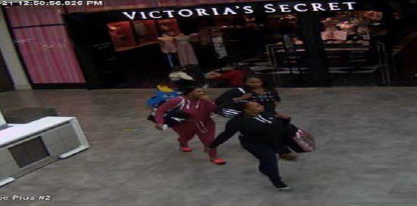 Black Women Steal Over 17k Worth of Bras From Victoria Secrets & You Wonder Why They Get Profiled? (Video)